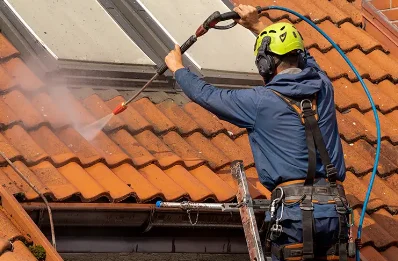 Démoussage et hydrofuge de toiture à Peaugres